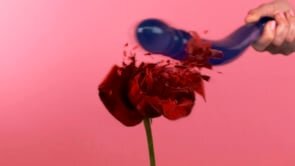 Love Honey Valentine Campaign