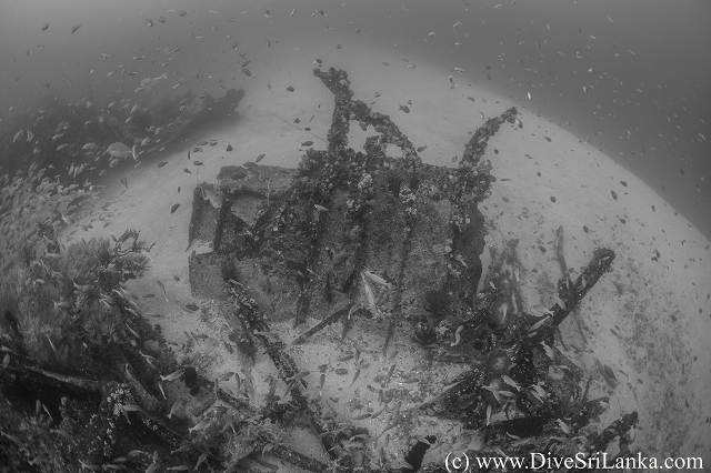 HMS Hollyhock amidships port side debris-small.png