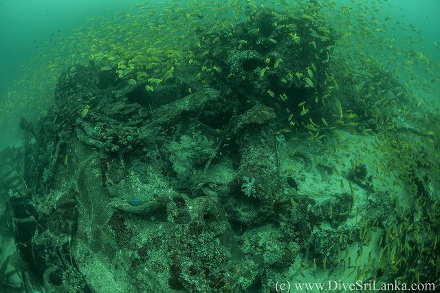 HMS Hollyhock Stern Side Debris1-small.png