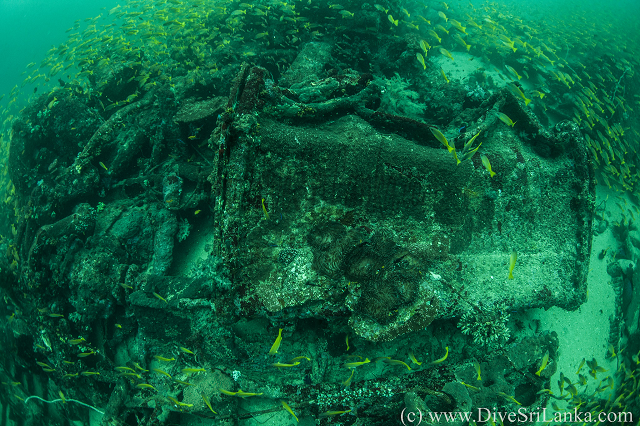 HMS Hollyhock stern side wreck2-small.png