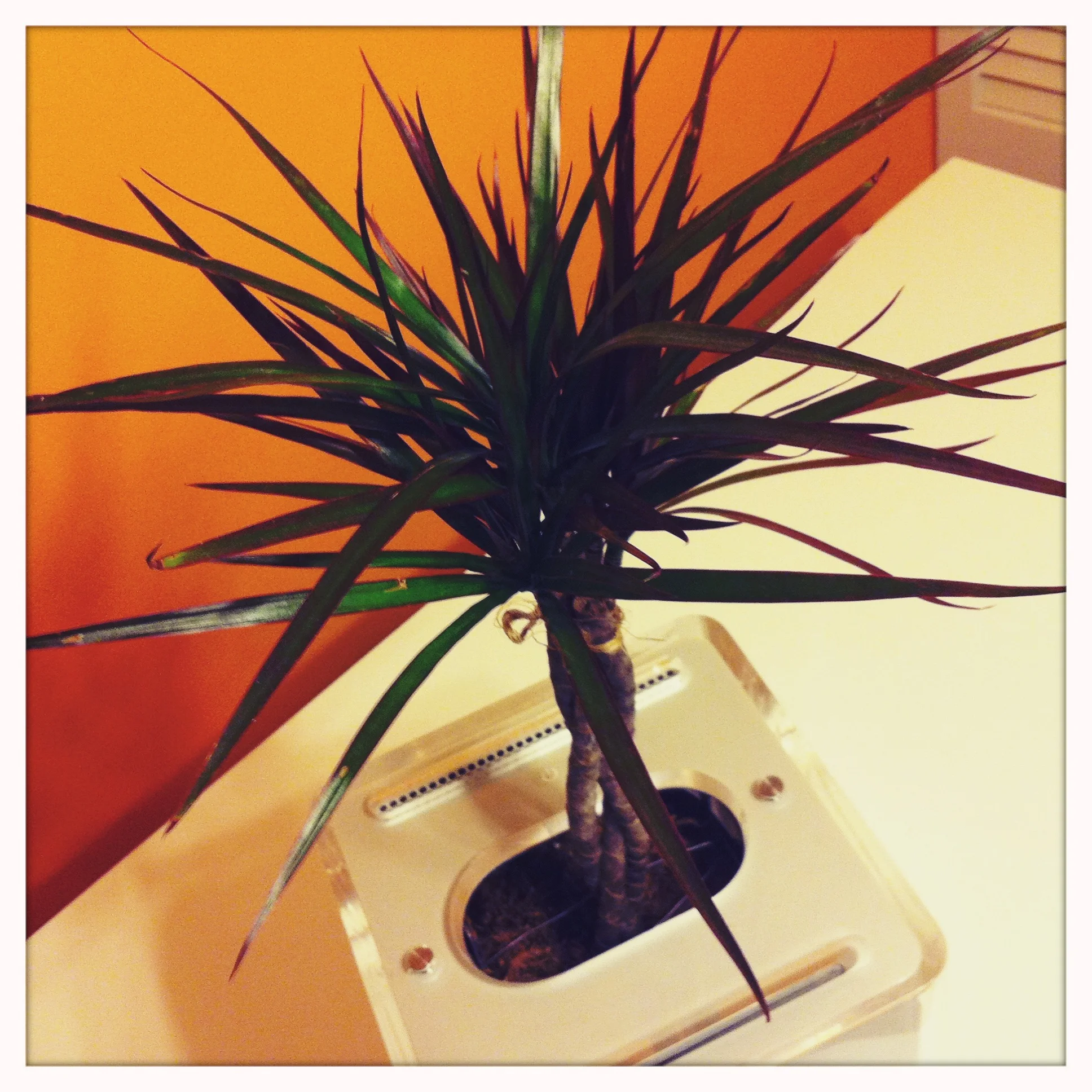 Giving new life to an old Apple G4 Cube