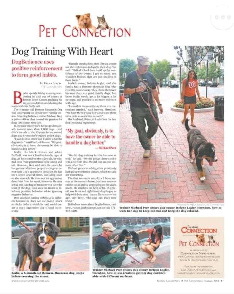 Michael+Peer+of+dOgBEDIENCE+featured+at+Pet+Connection.jpeg