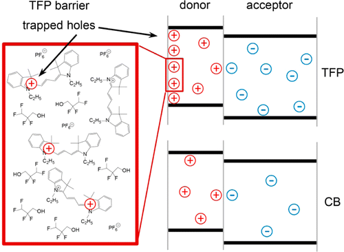 Influence of molybdenum oxide interface solvent sensitivity on charge trapping in bilayer cyanine solar cells