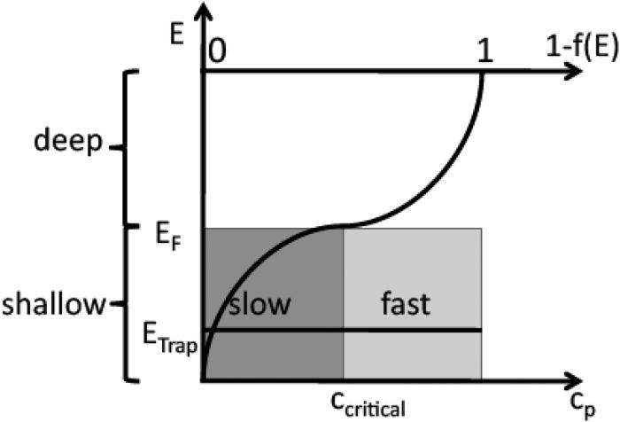 The role of shallow traps in dynamic characterization of organic semiconductor devices