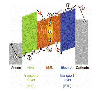 Advanced numerical simulation of organic light-emitting devices