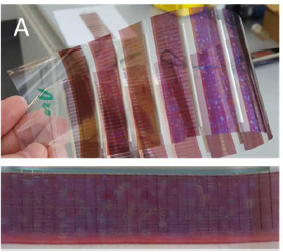 Comparison of inorganic electron transport layers in fully roll-toroll coated printed organic photovoltaics in normal geometry