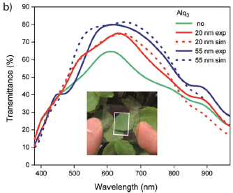 Squaraine Dye for a Visibly Transparent All-Organic Optical Upconversion Device with Sensitivity at 1000 nm