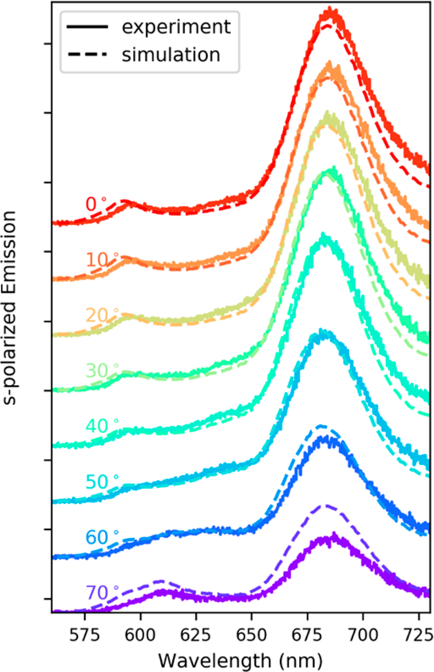 Time-dependent p-i-n structure and emission zone in sandwich-type light-emitting electrochemical cells