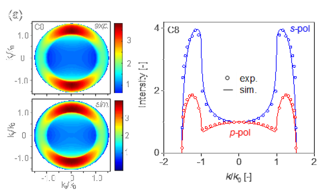 Understanding the Ligand Effects on Photophysical, Optical, and Electroluminescent Characteristics of Hybrid Lead Halide Perovskite Nanocrystal Solids
