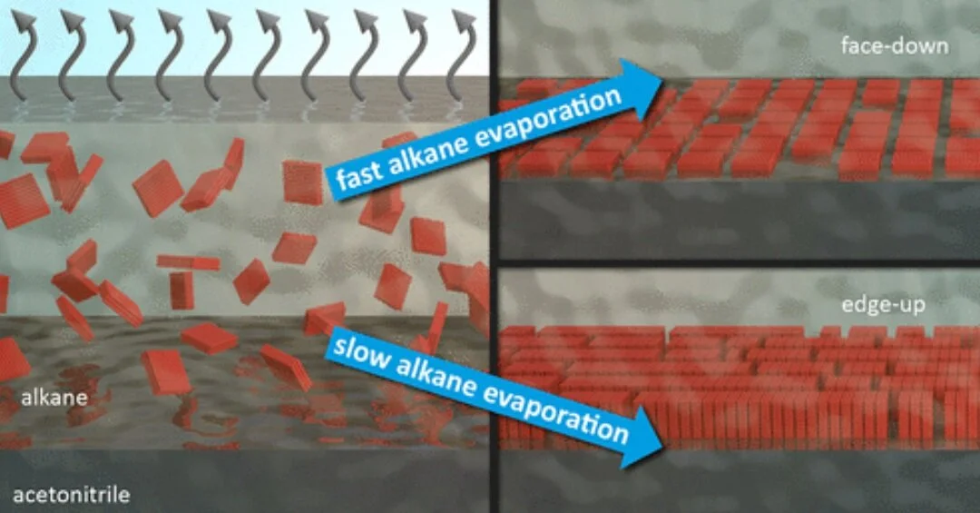 Kinetic Control over Self-Assembly of Semiconductor Nanoplatelets