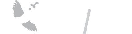 agilechilli-logo-white-1.png