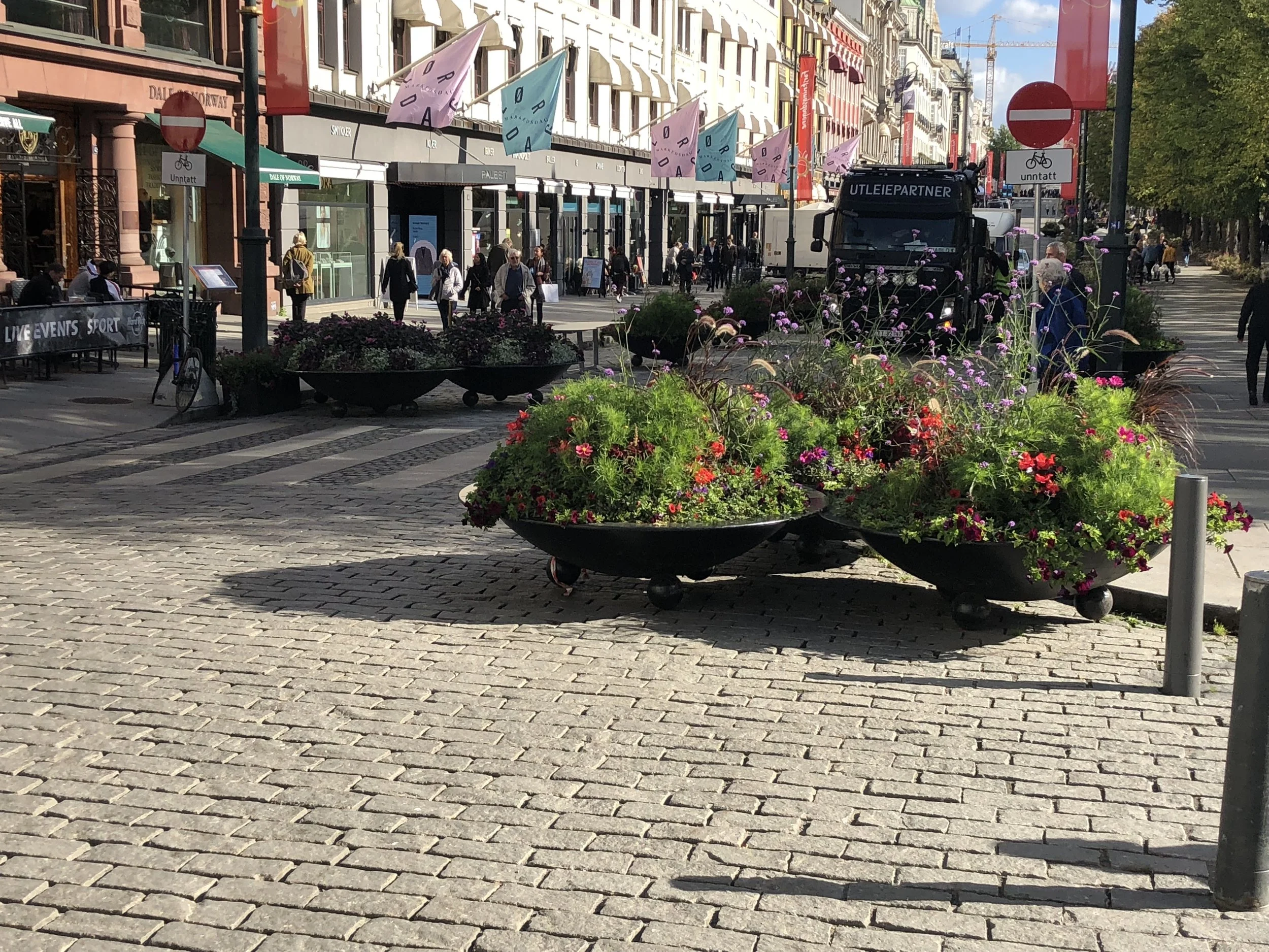 IMG_1269.jpeg