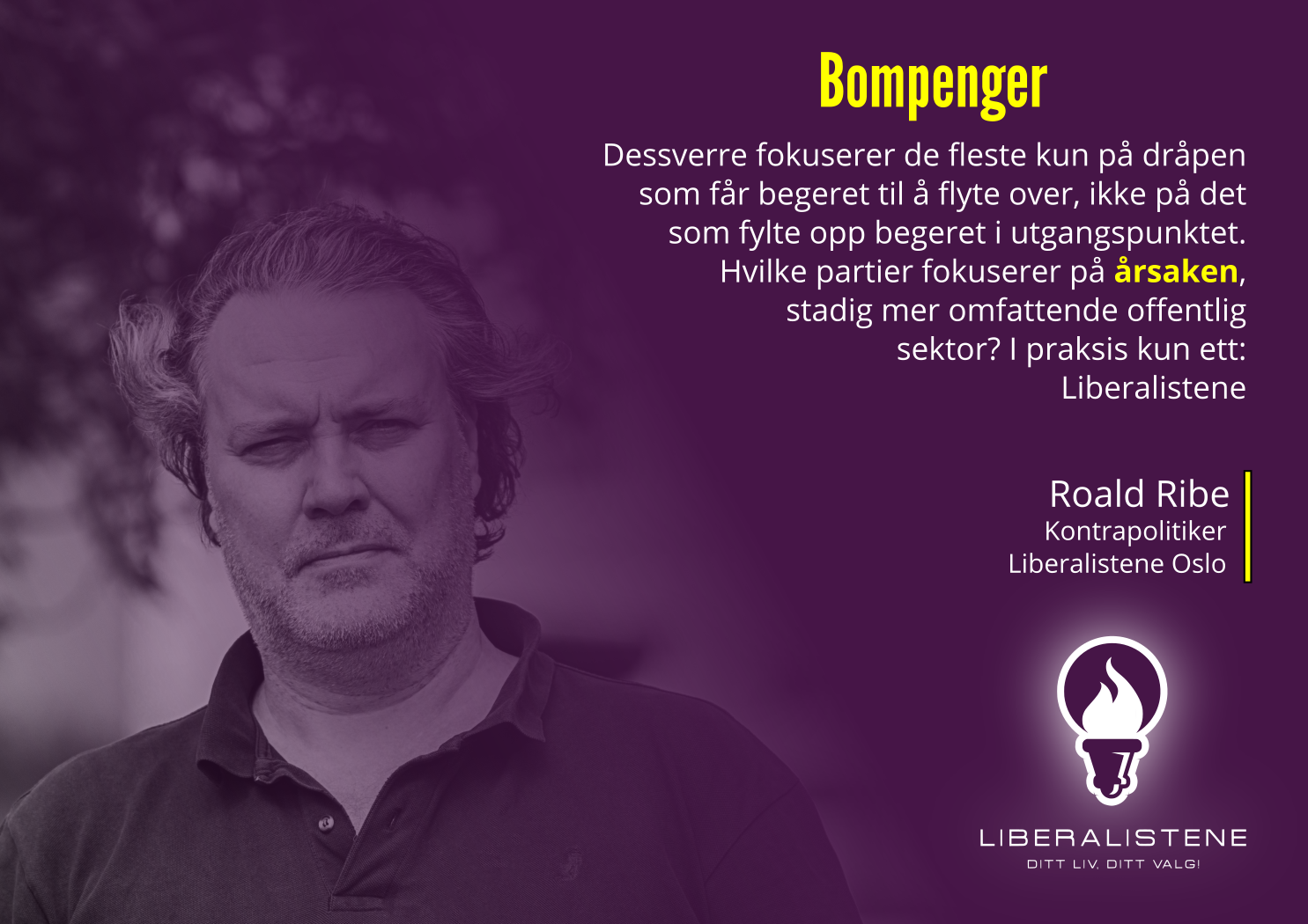 roald-ribe-23.png