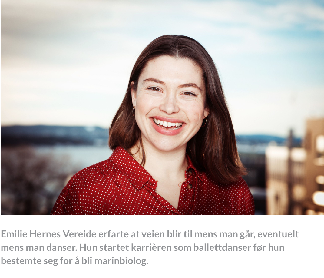 Skjermbilde 2019-01-25 kl. 19.14.53.png