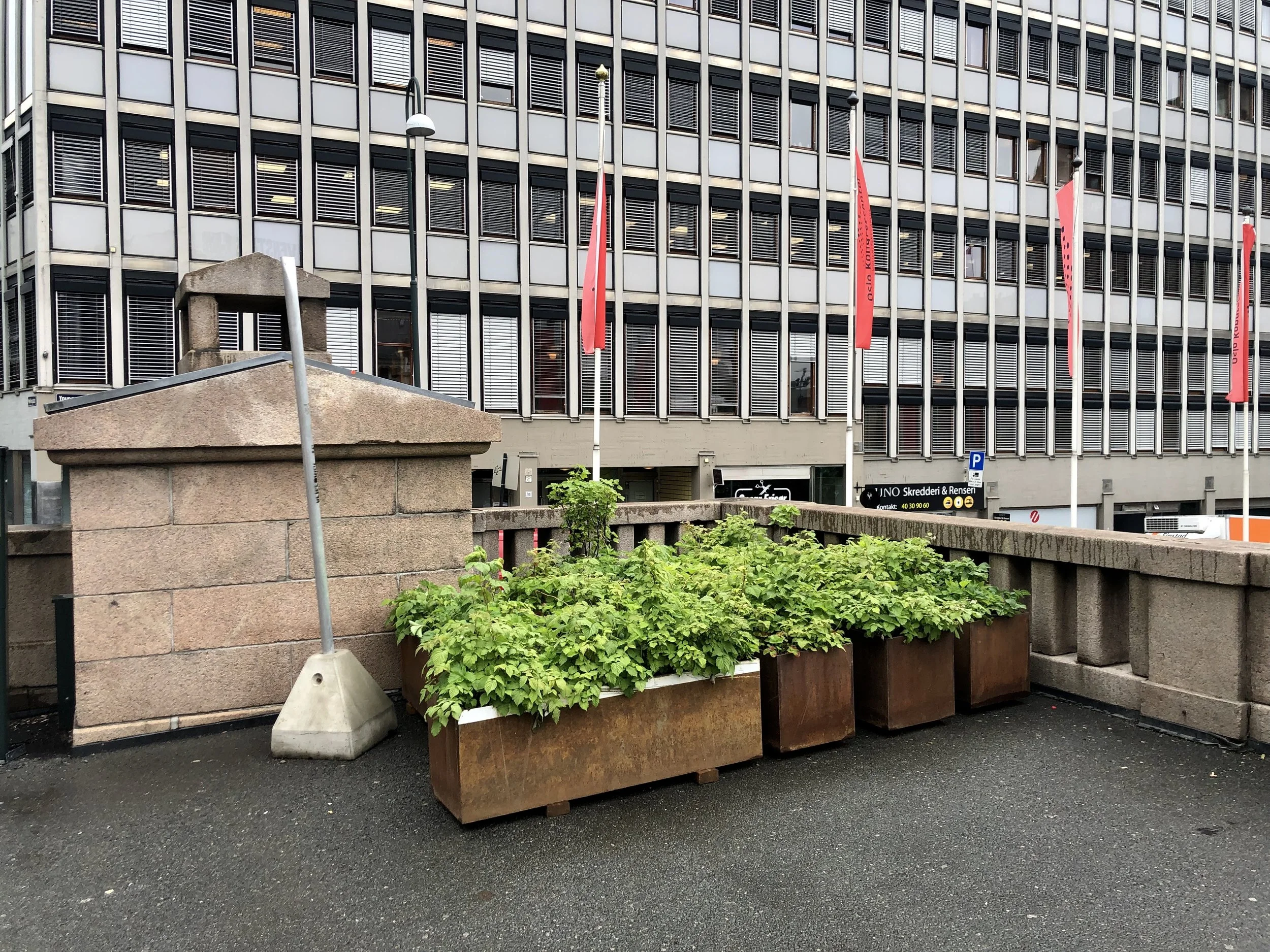 I et hjørne mot Folkets Hus har noen stuet bort 9 plantekasser med bærbusker.
