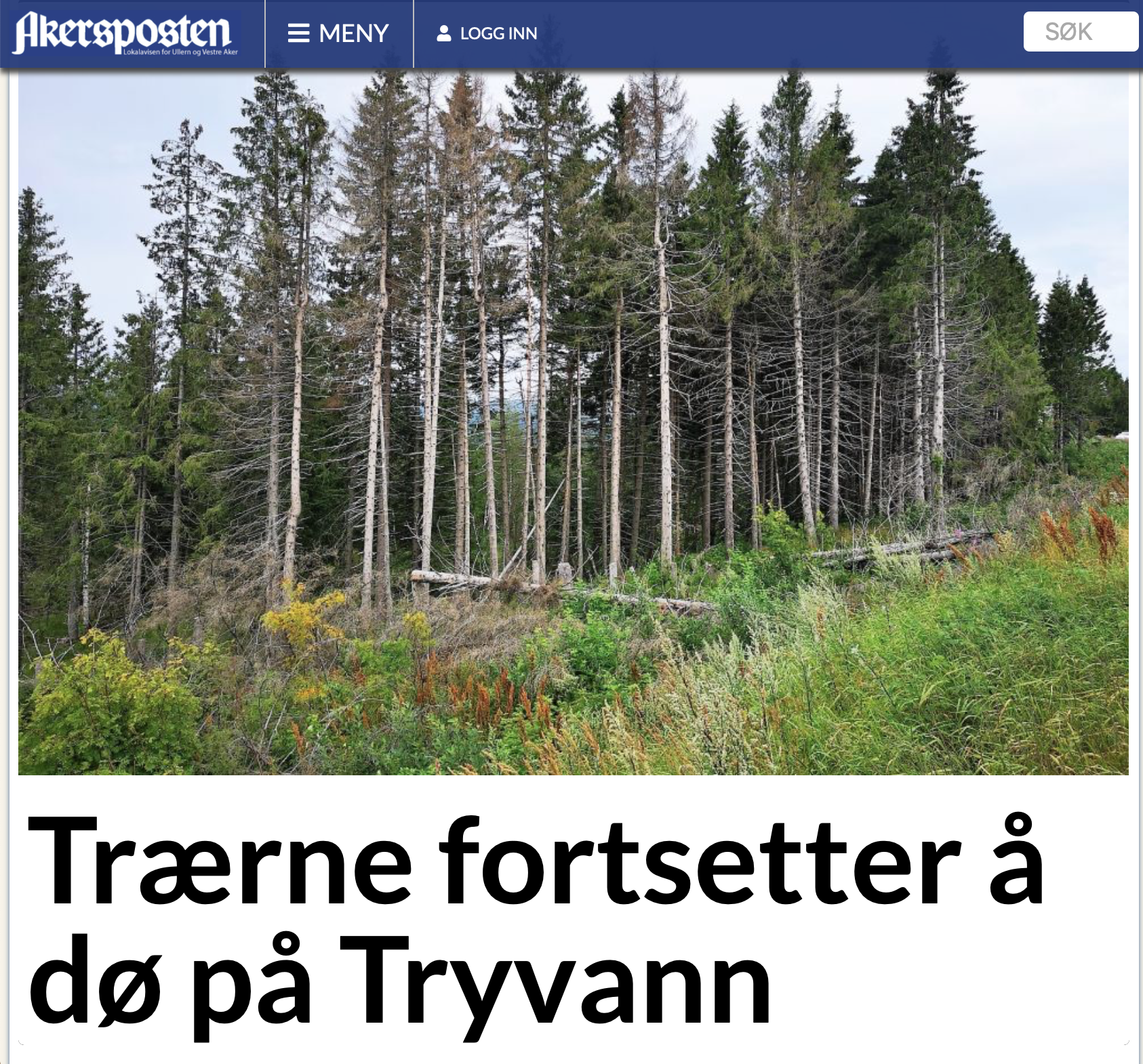 Skjermbilde 2019-08-04 kl. 07.58.40.png