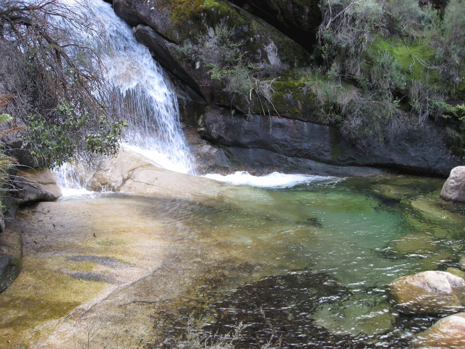 IMG_1205.gif