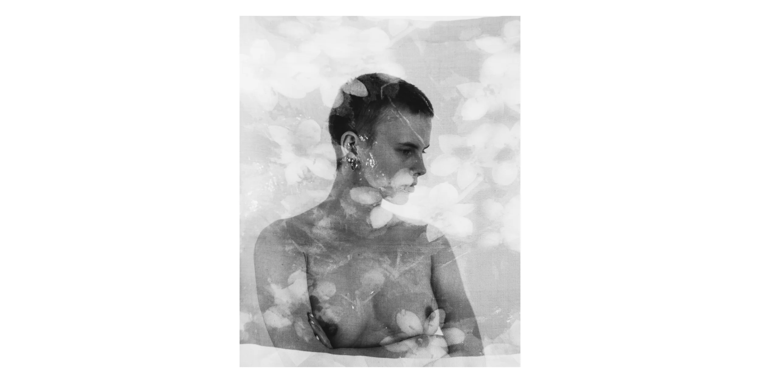 Lea Floral Transparent.jpg