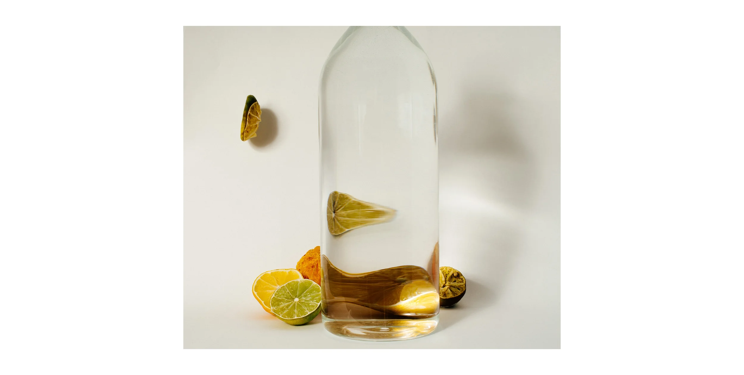 Warp Citrus Fruit.jpg