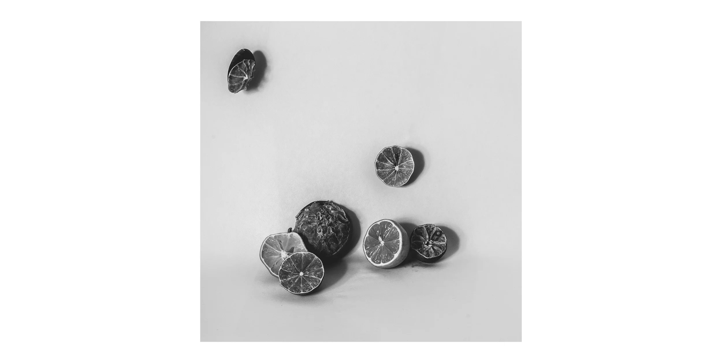 Strange Citrus Mono.jpg