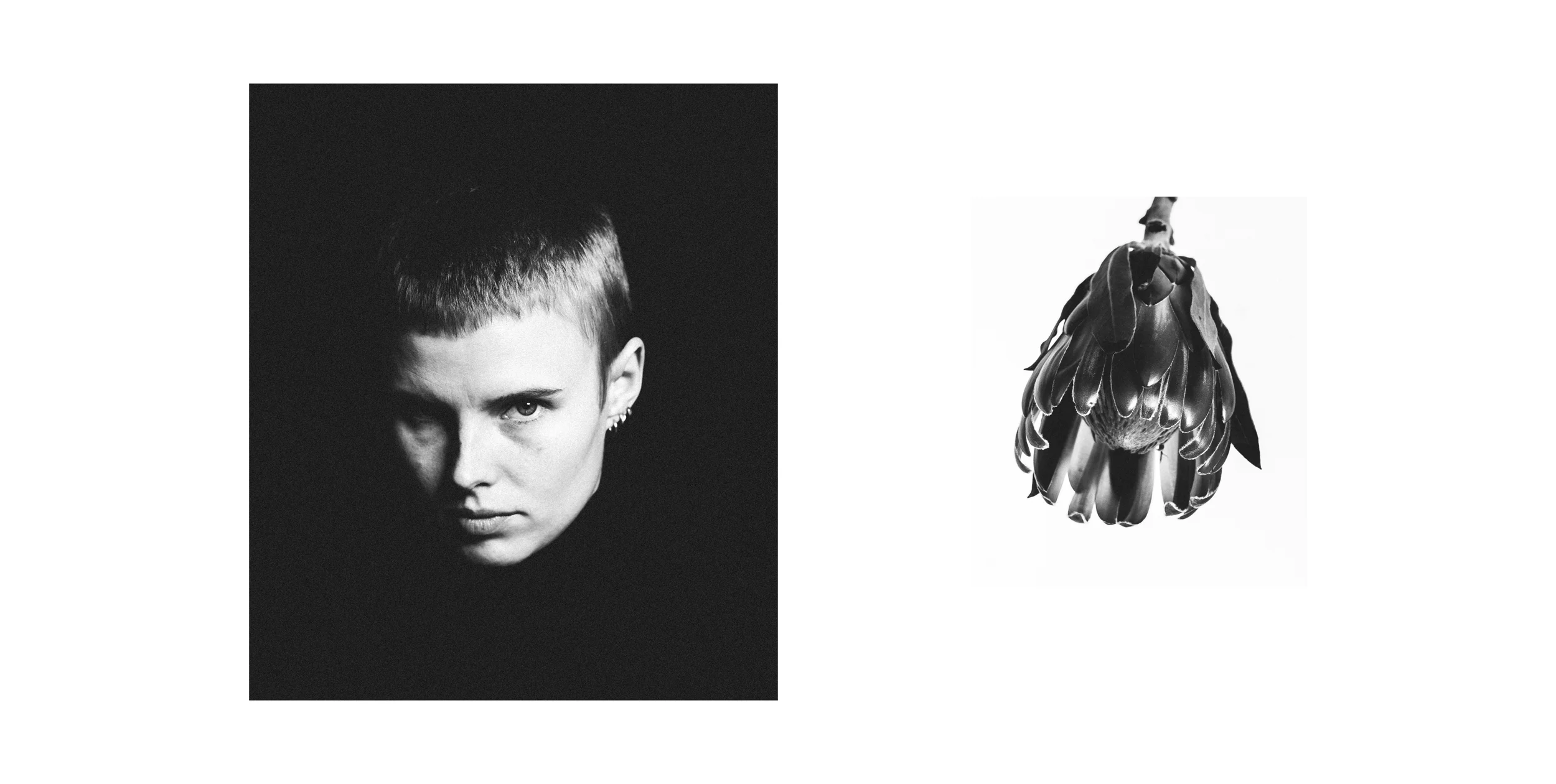 Evil Eye Plant Diptych.jpg