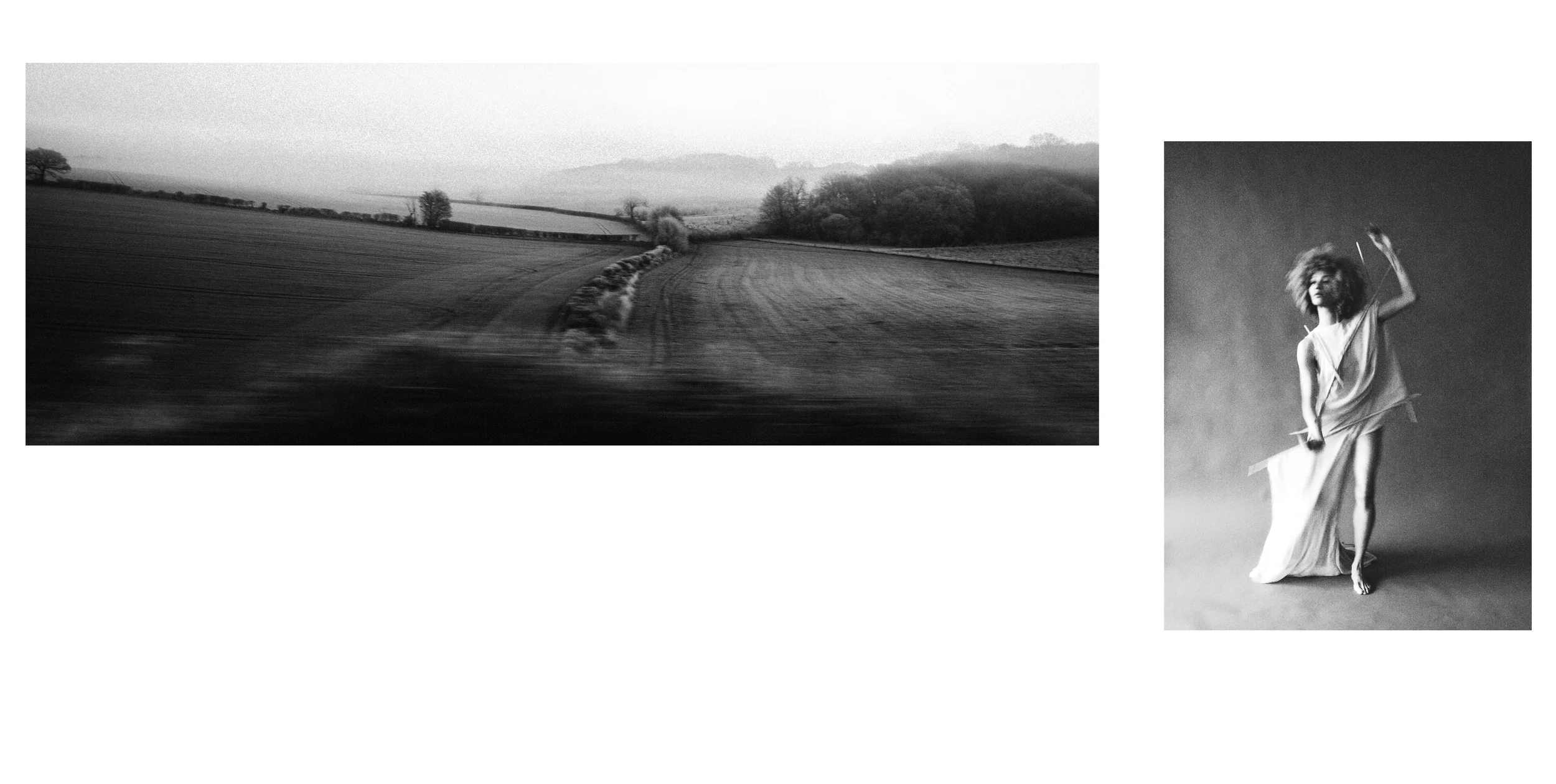 Fields in Motion Diptych.jpg