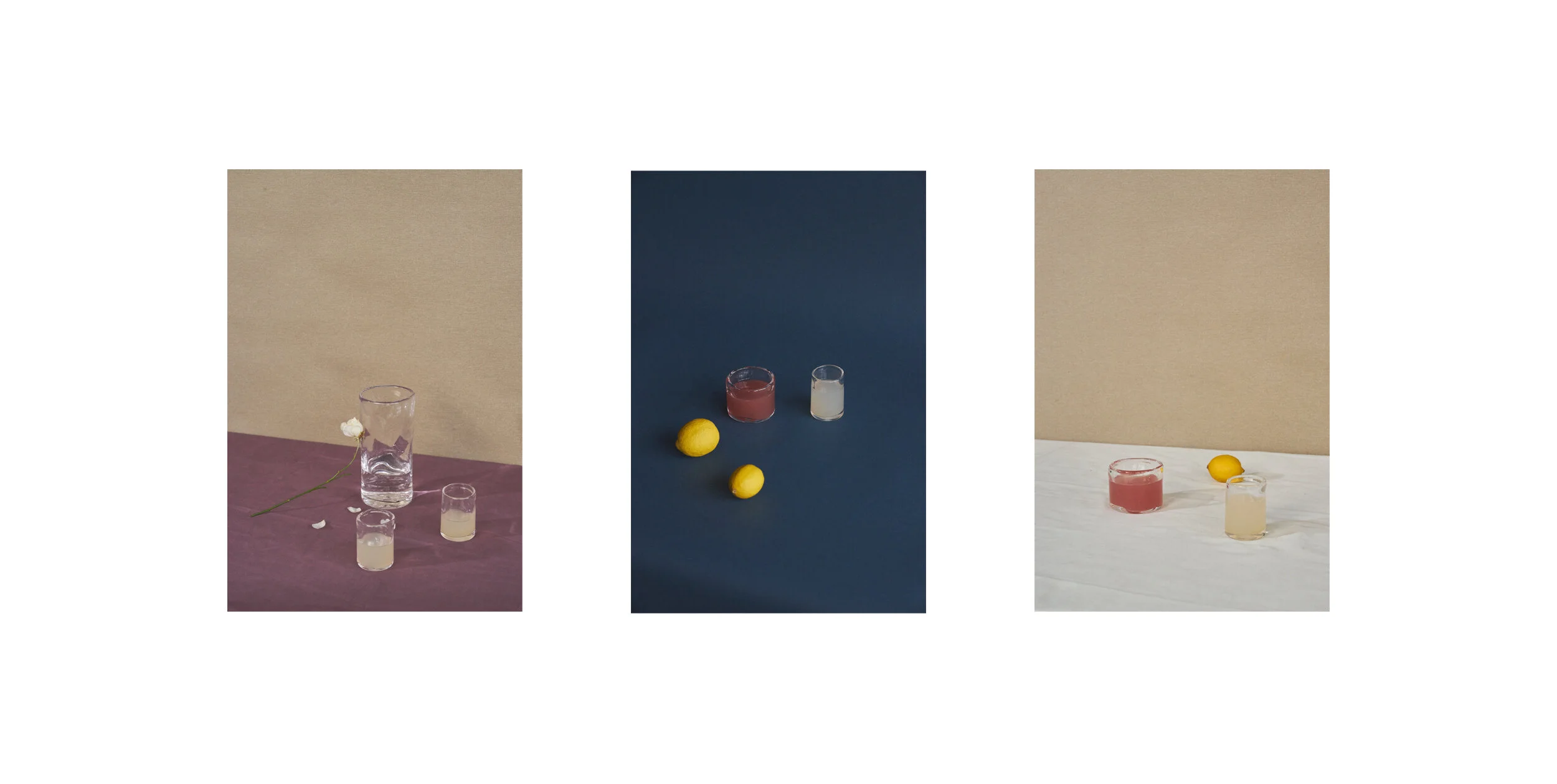 FRAMA SL Triptych.jpg
