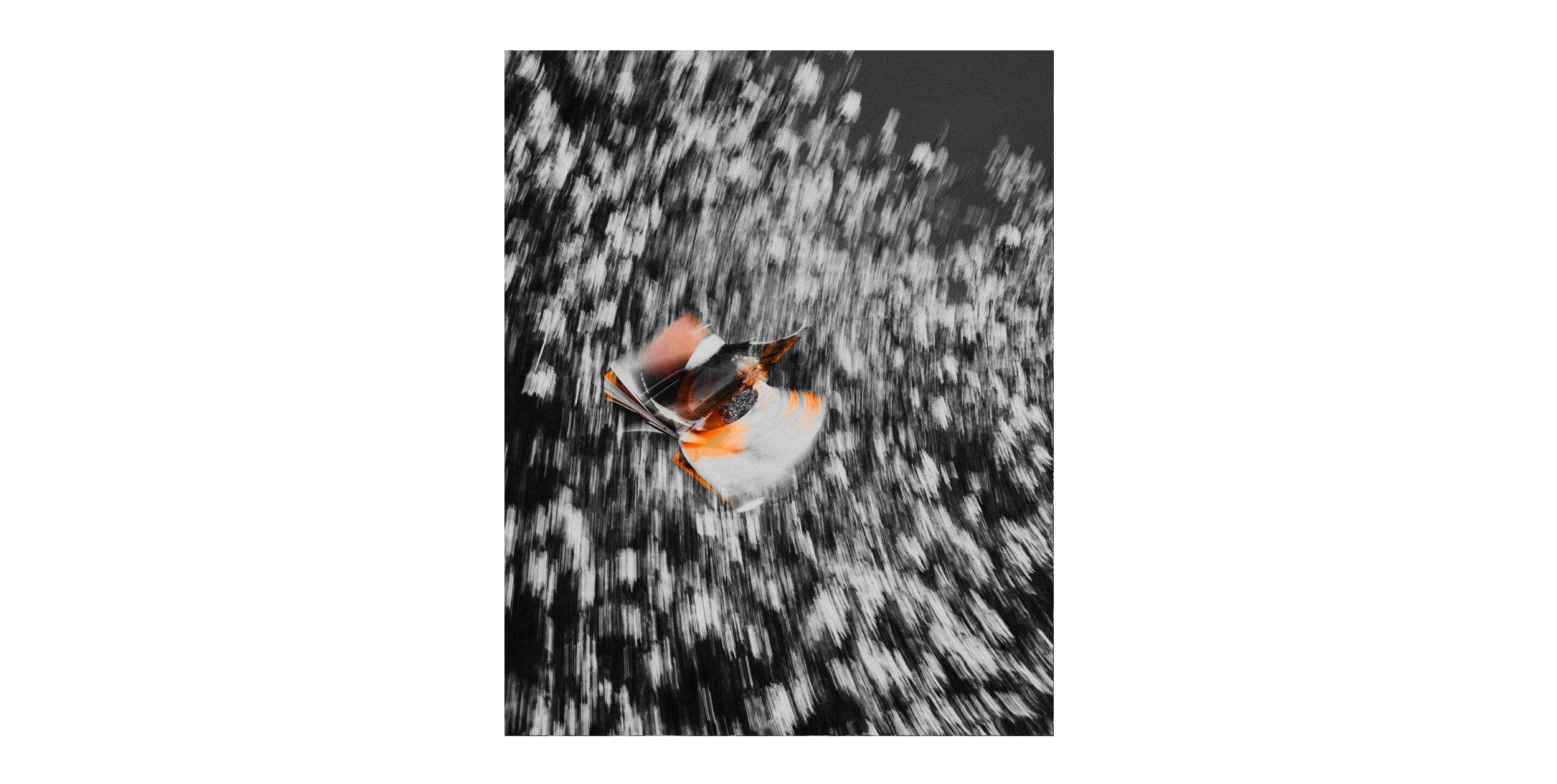 HDM 5.jpg