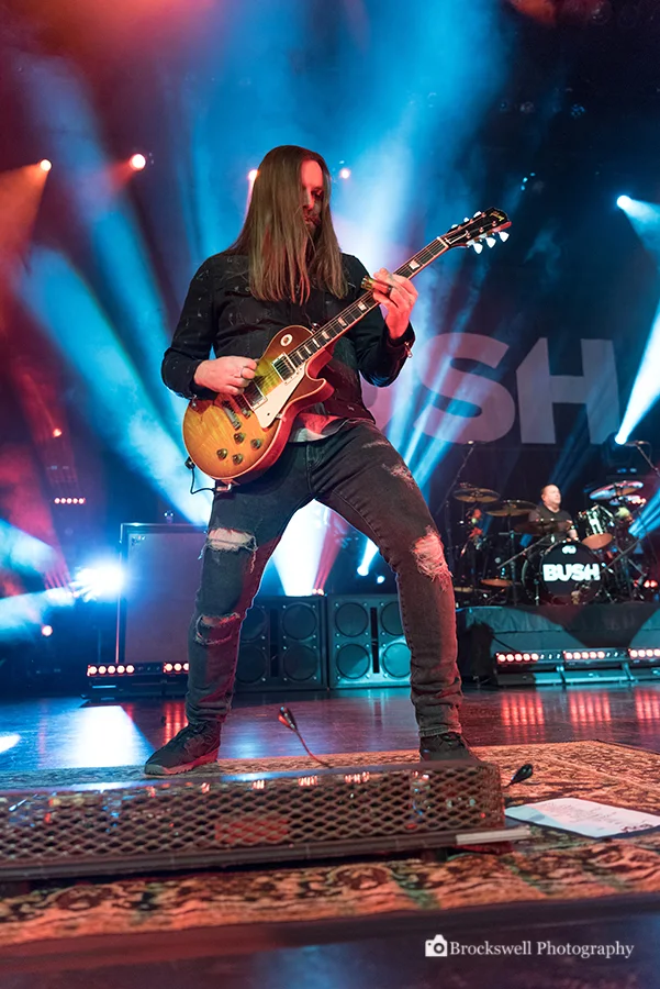 Bush - 01 - Logod.jpg
