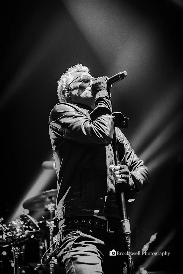 STP - 17 - Logod.jpg