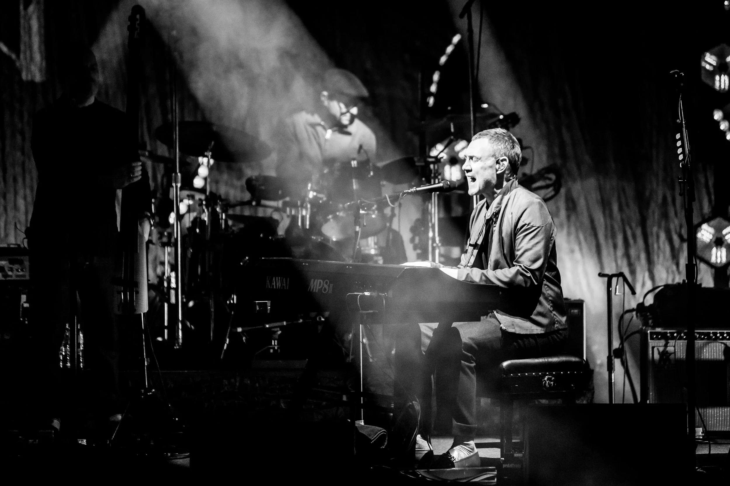 David Gray 2 (1 of 1).jpg