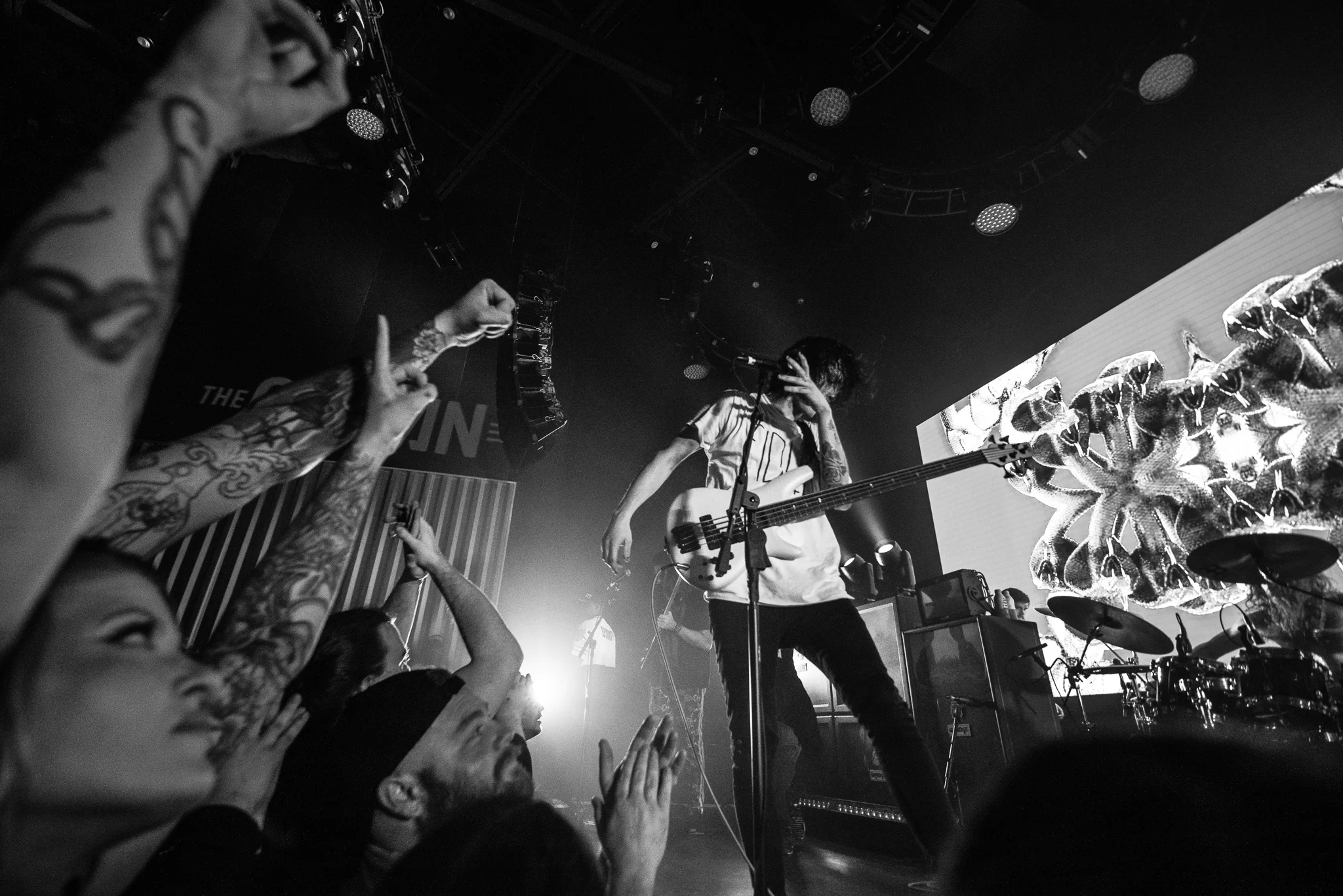 polyphia3 (1 of 1)-22.jpg