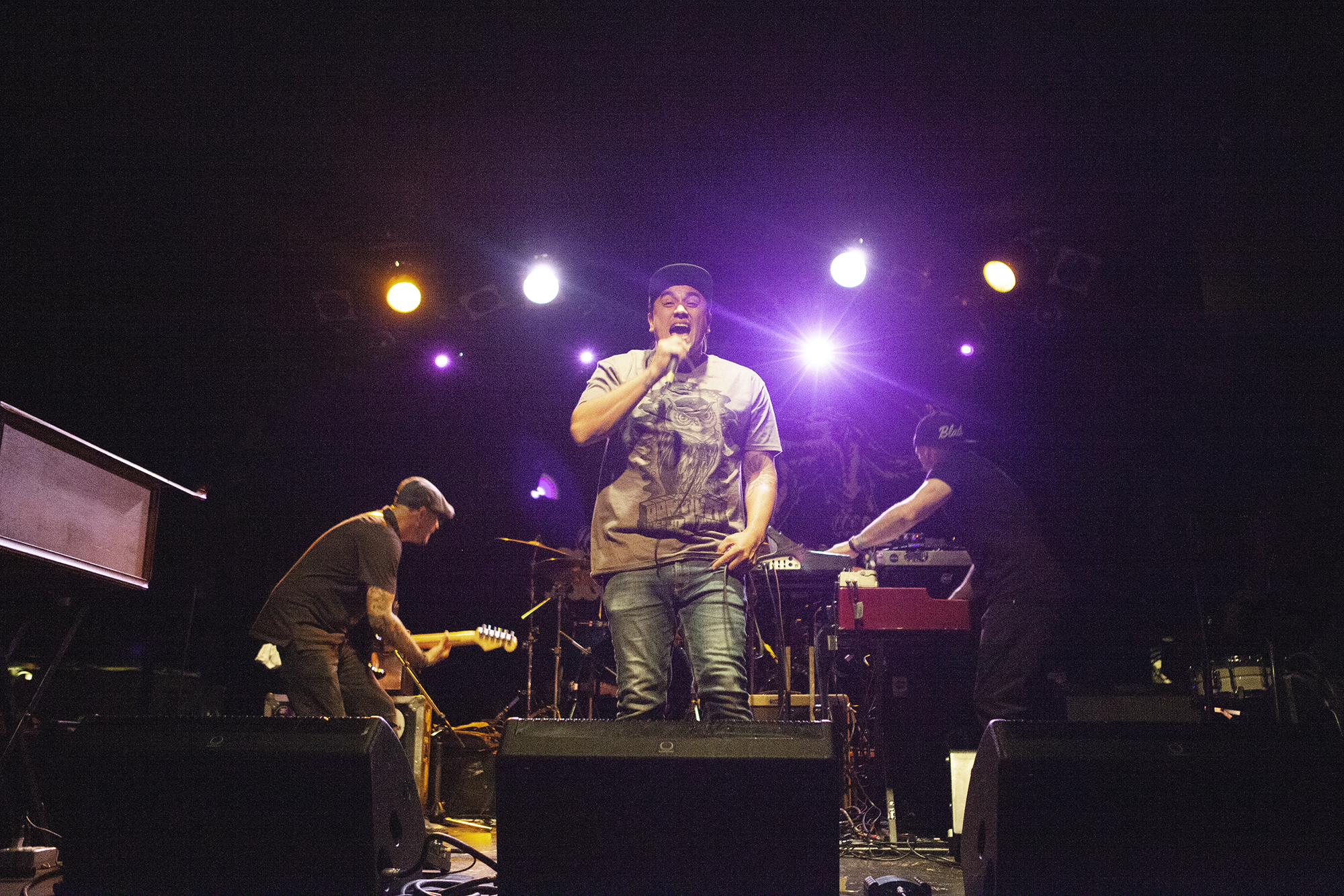Tomorrows Bad Seeds