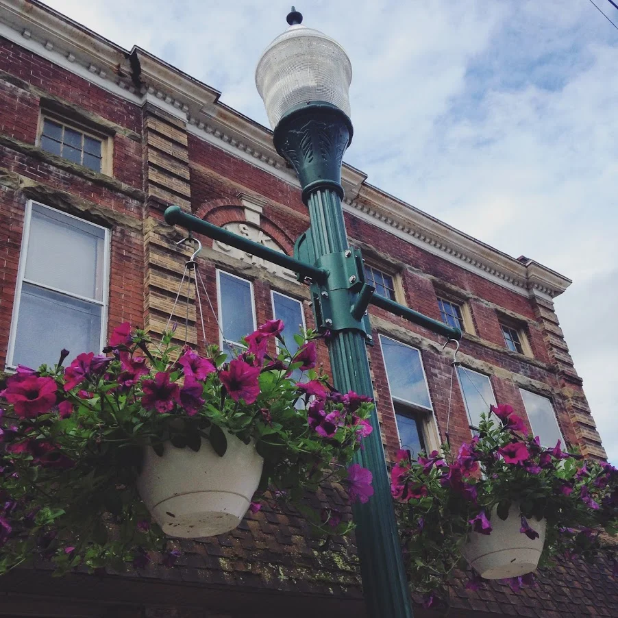Celebrate Your Mom with Flowers that Keep on Blooming