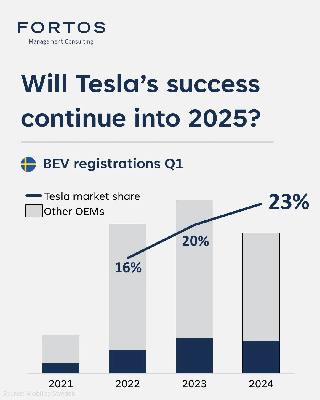 TESLA OUTLOOK 2025