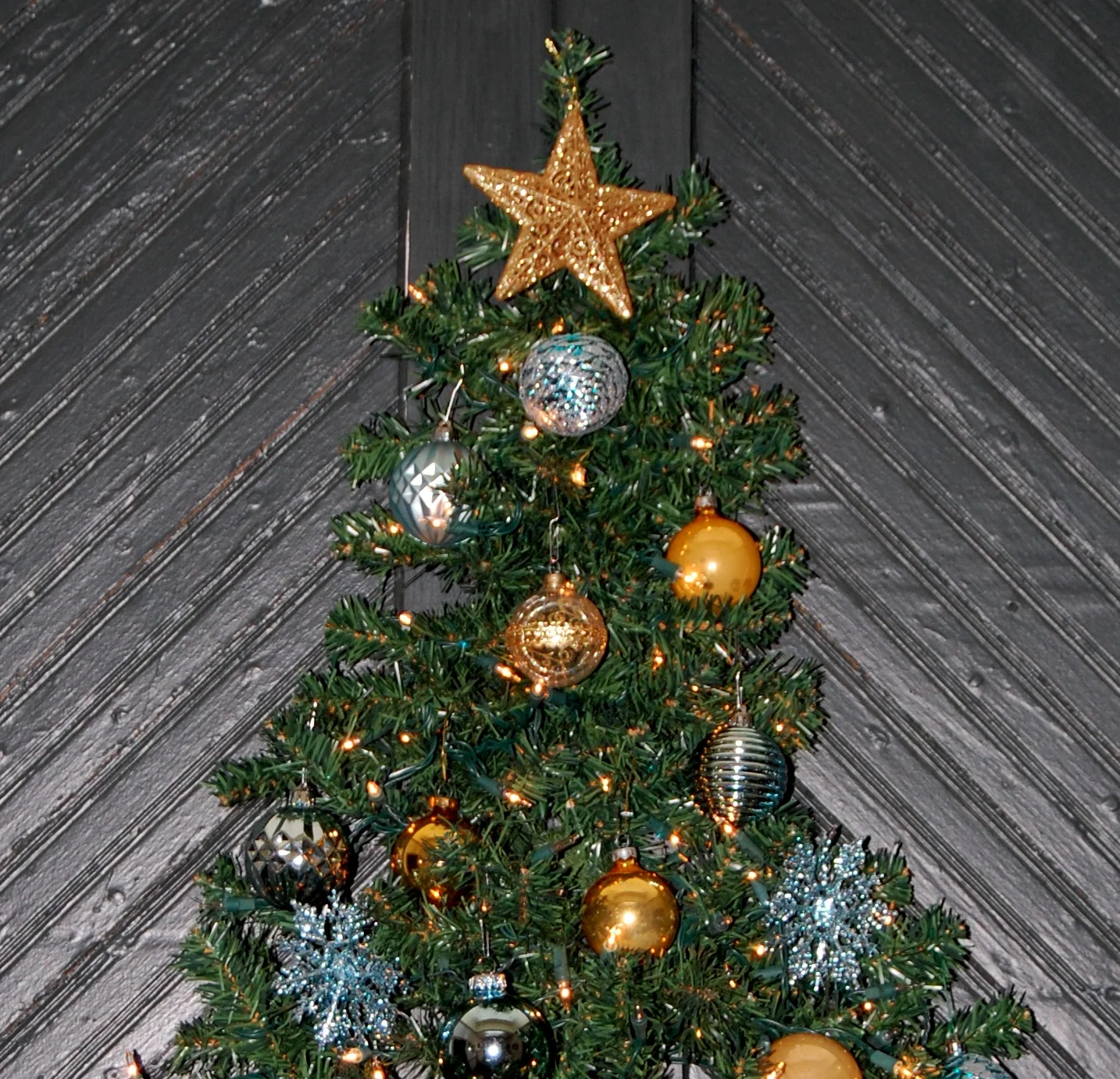 DSC_5800R.jpg