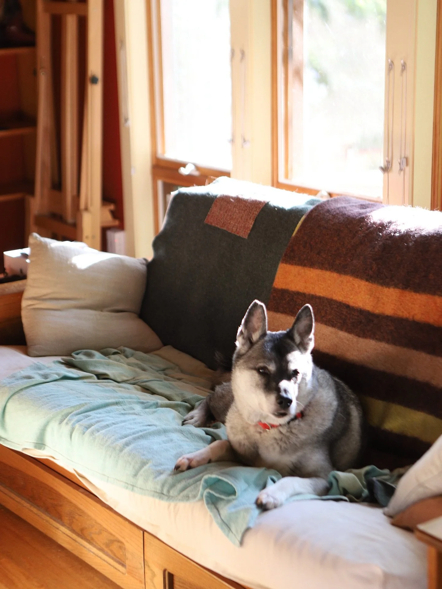 Toby and I relaxing and slowly unpacking in the new home. Being surrounded by nature is the best.