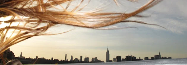 #Checosastoleggendo Christmas Edition: 5 libri da regalare per Natale