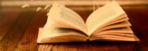 Magda Szabò, La porta