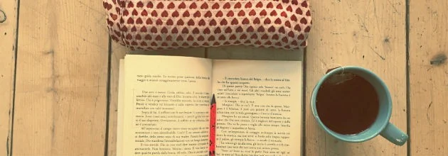 Amélie Nothomb, Metafisica dei tubi