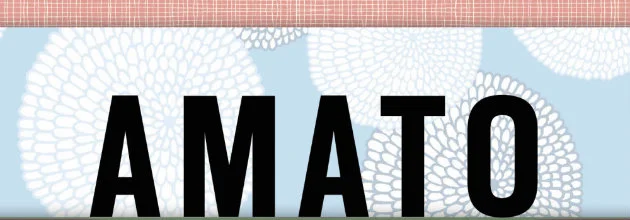 AAVV, Quello che hai amato, undici donne, undici storie vere