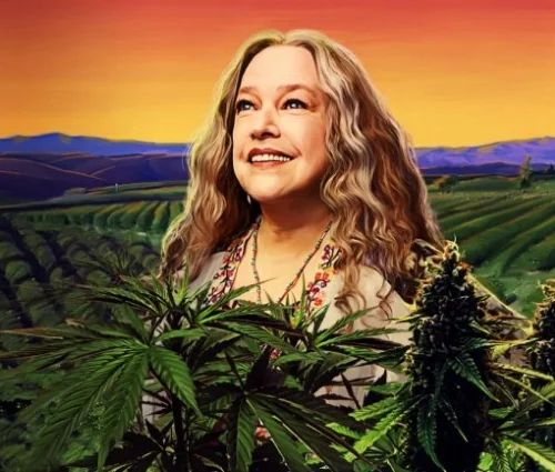 disjointed-netflix.jpg