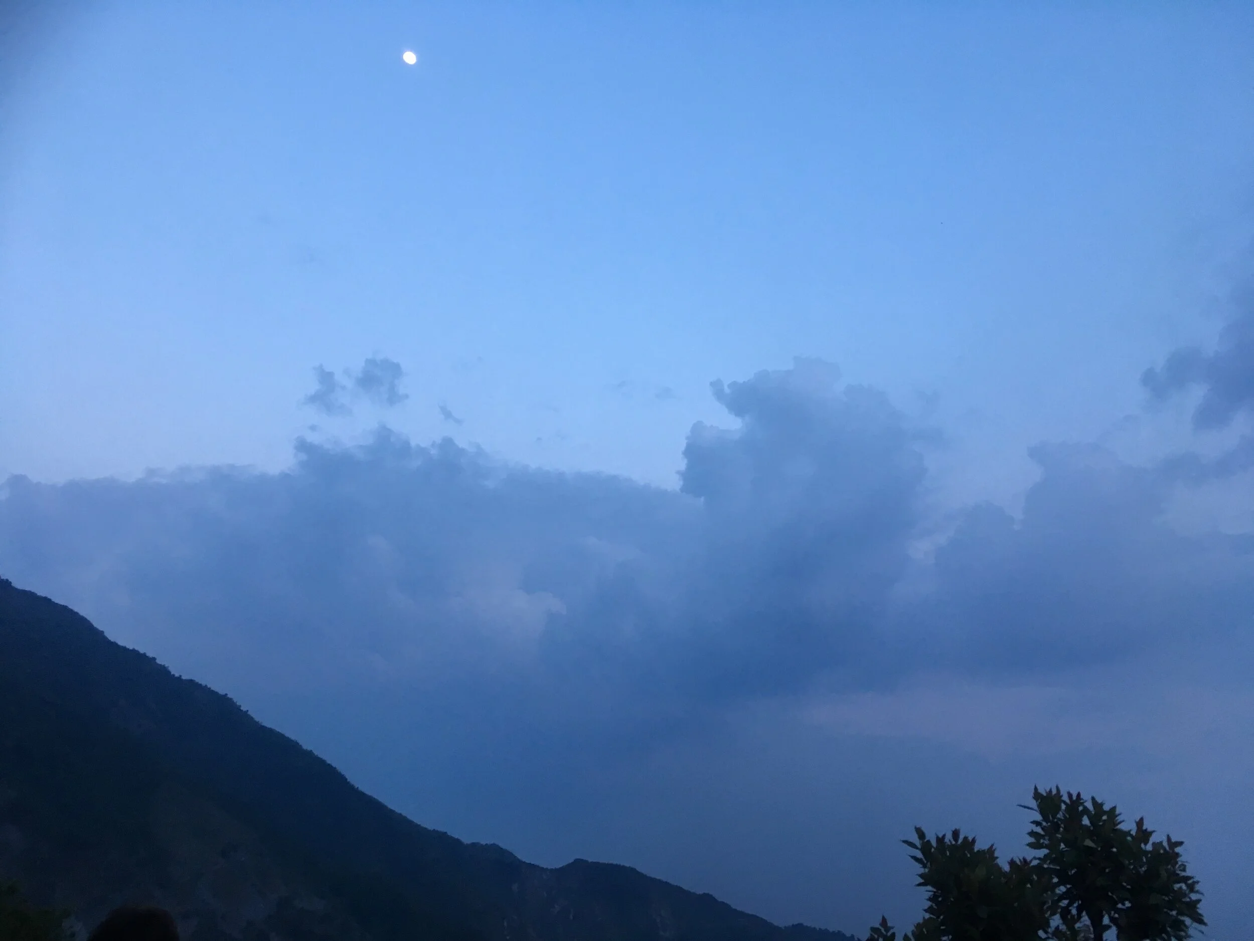 IMG_7489.JPG
