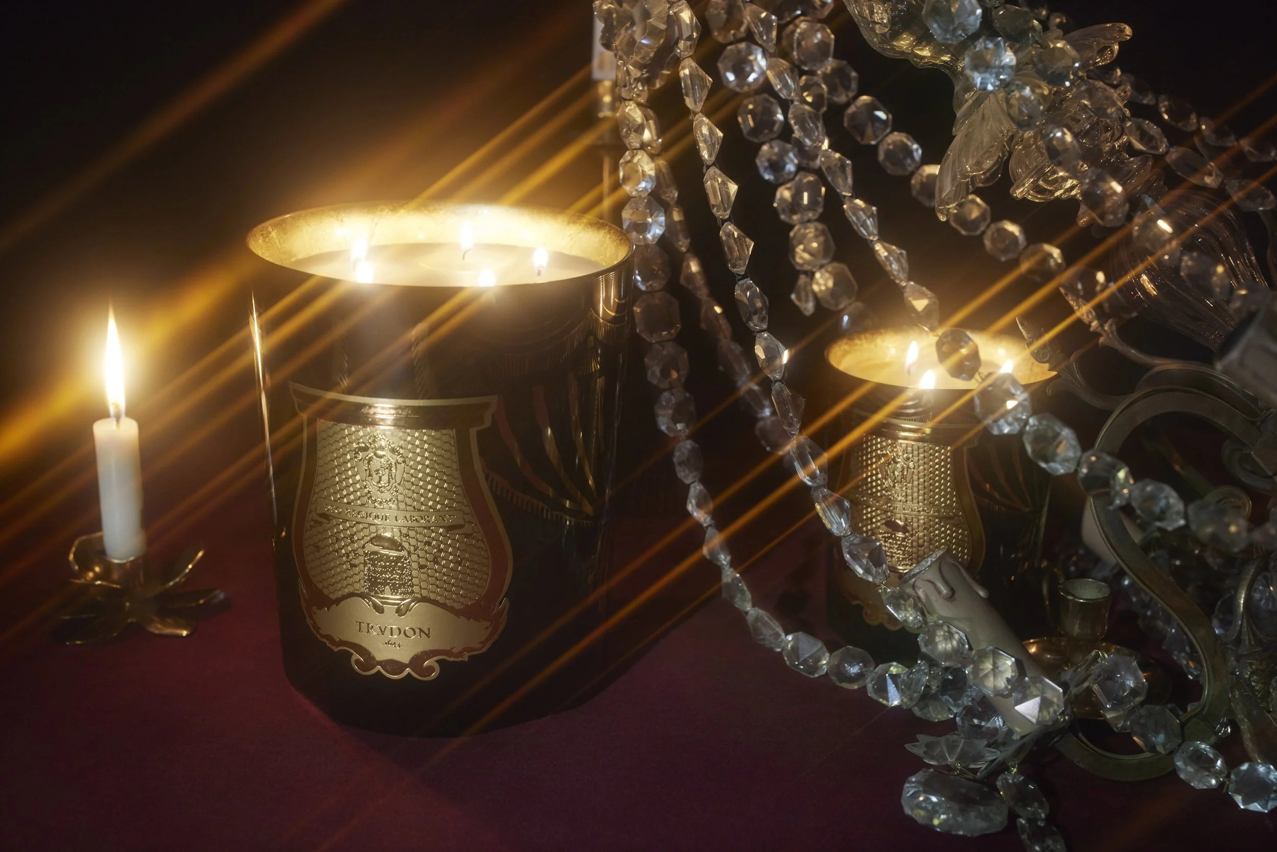 Trudon-05 NATURES MORTES-132_V1_RVB.jpg