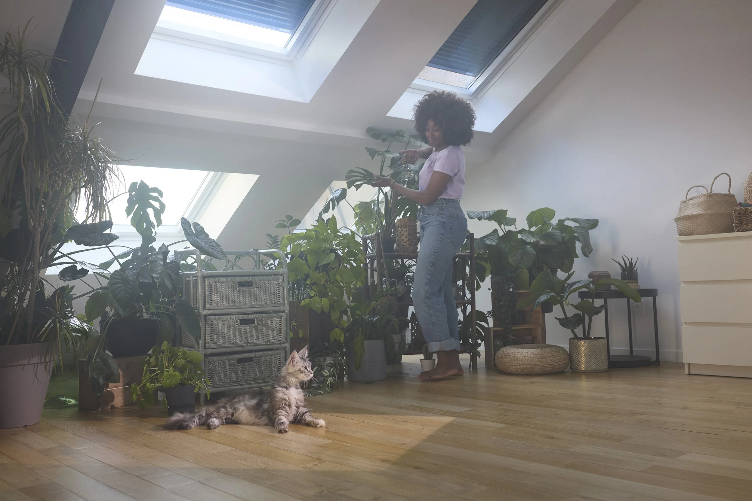 VELUX - Campagne 2025