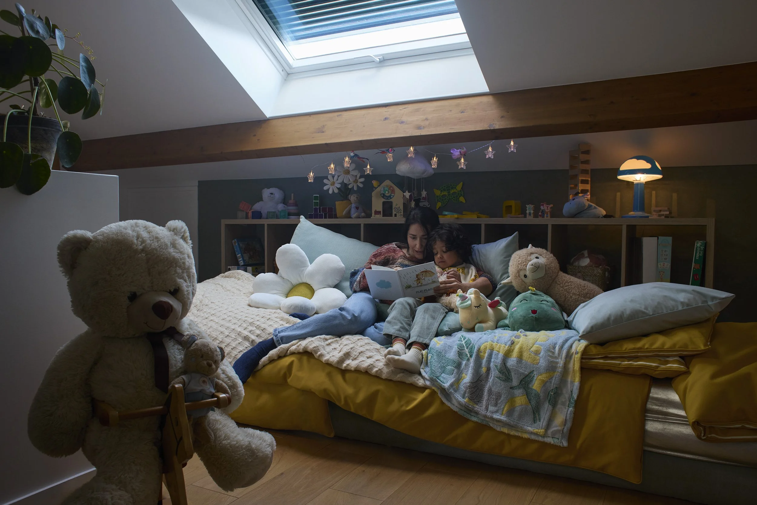 VELUX - Campagne 2025
