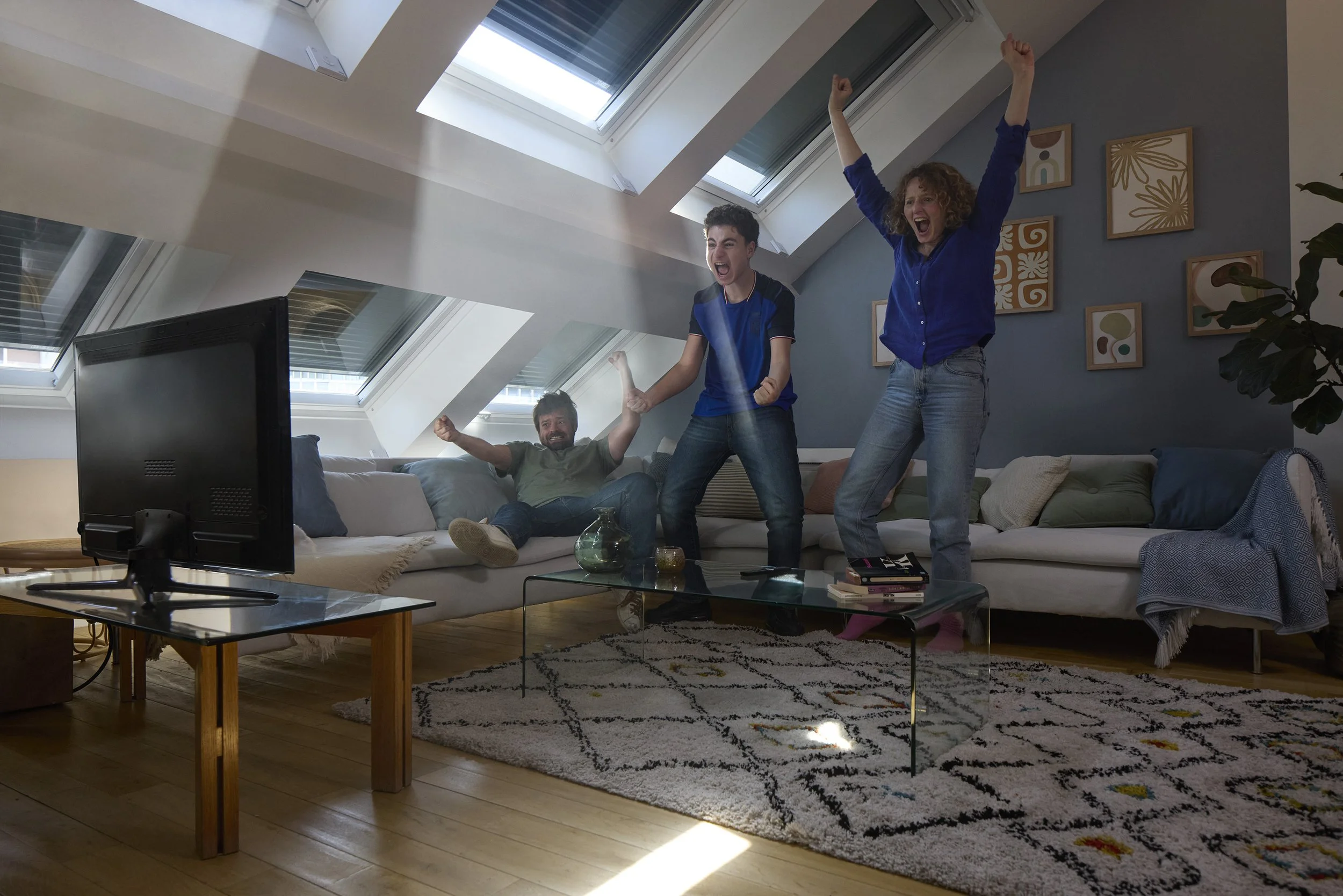 VELUX - Campagne 2025