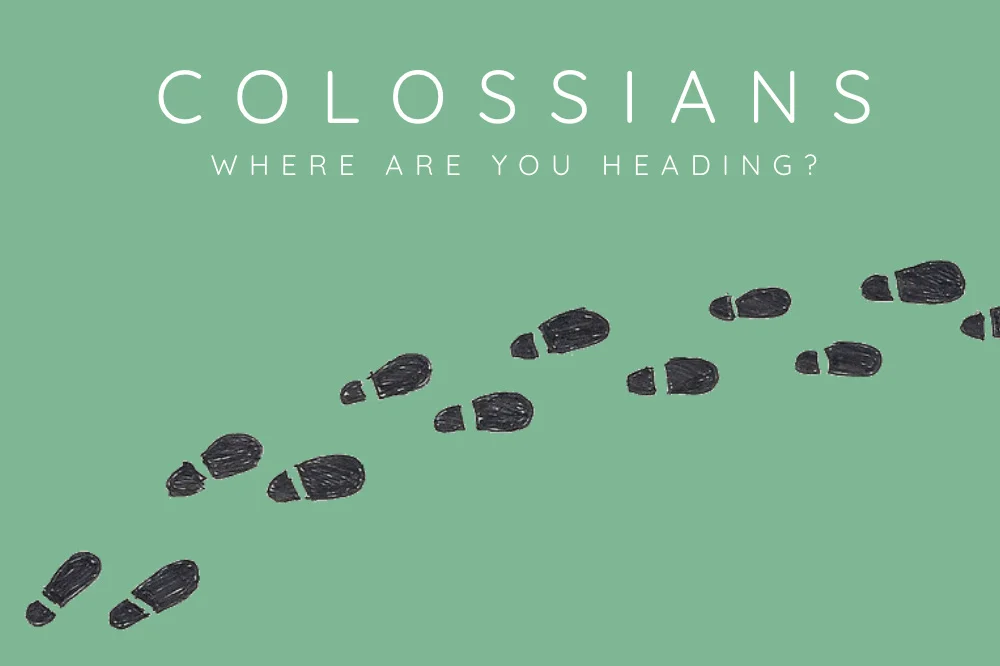 Where Are You Heading? Rooted And Growing