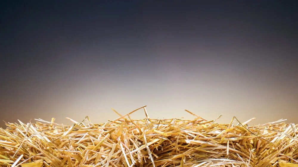 Where Is He Who Has Been Born King of the Jews?
