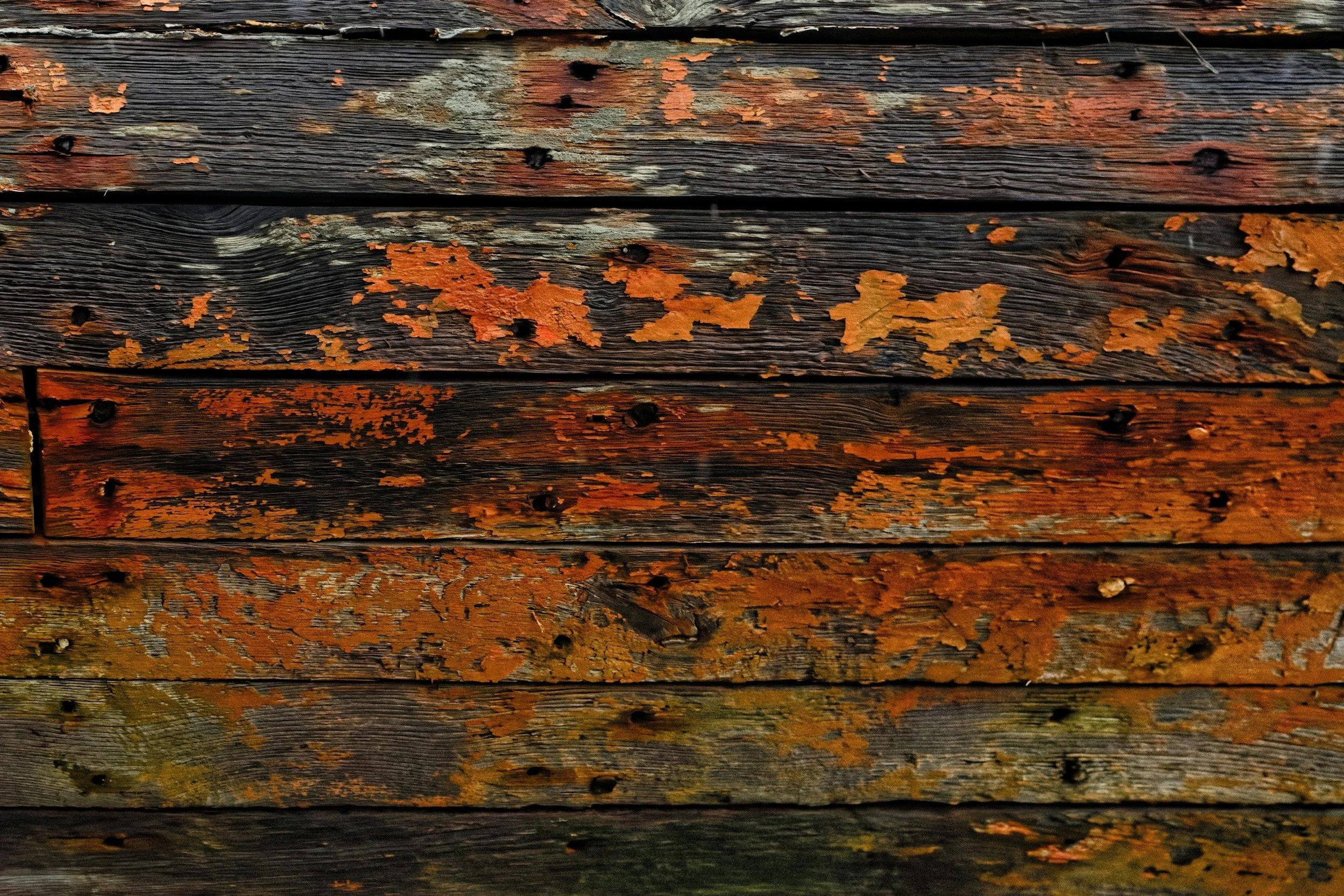 unsplash-image-3qhcNGkGZKc.jpg